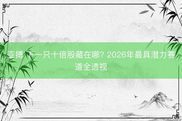 亚搏 下一只十倍股藏在哪? 2026年最具潜力赛道全透视