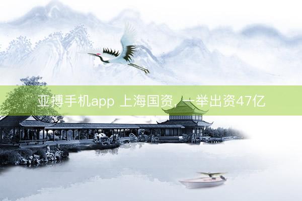 亚搏手机app 上海国资, 一举出资47亿