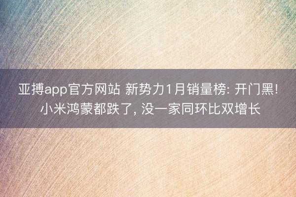 亚搏app官方网站 新势力1月销量榜: 开门黑! 小米鸿蒙都跌了， 没一家同环比双增长