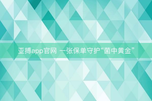 亚搏app官网 一张保单守护“菌中黄金”