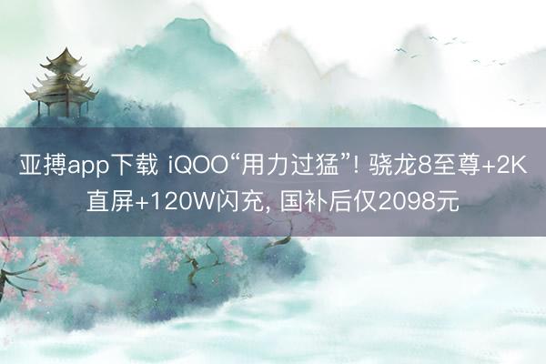 亚搏app下载 iQOO“用力过猛”! 骁龙8至尊+2K直屏+120W闪充, 国补后仅2098元