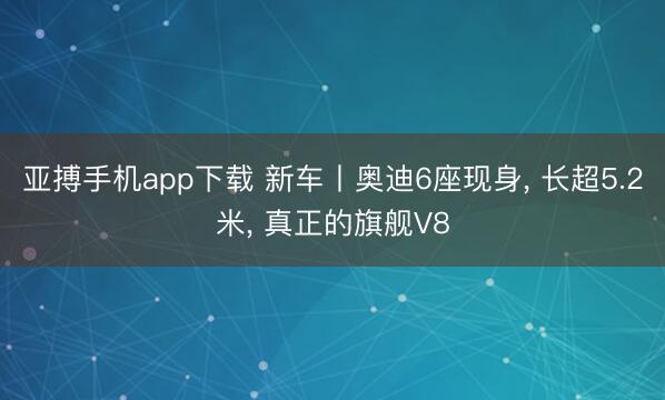 亚搏手机app下载 新车丨奥迪6座现身， 长超5.2米， 真正的旗舰V8