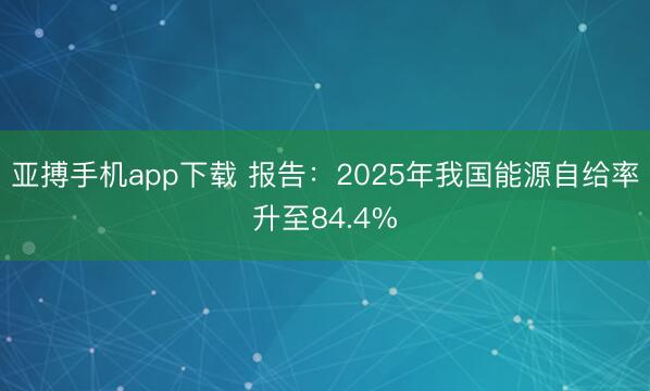 亚搏手机app下载 报告:2025年我国能源自给率升至84.4%