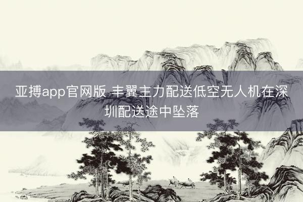 亚搏app官网版 丰翼主力配送低空无人机在深圳配送途中坠落
