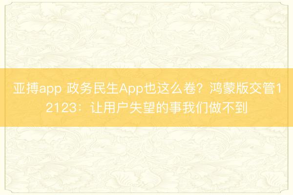 亚搏app 政务民生App也这么卷?鸿蒙版交管12123:让用户失望的事我们做不到