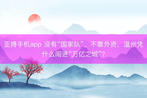 亚搏手机app 没有“国家队”、不靠外资，温州凭什么闯进“万亿之城”？