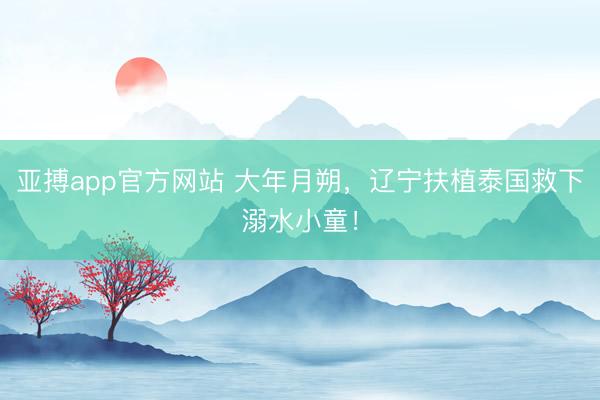 亚搏app官方网站 大年月朔，辽宁扶植泰国救下溺水小童！