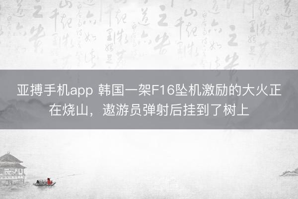 亚搏手机app 韩国一架F16坠机激励的大火正在烧山,遨游员弹射后挂到了树上