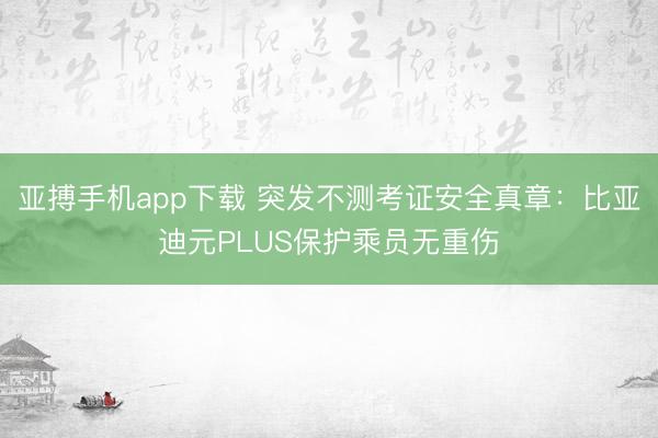 亚搏手机app下载 突发不测考证安全真章：比亚迪元PLUS保护乘员无重伤
