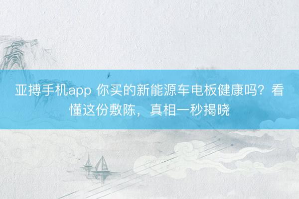 亚搏手机app 你买的新能源车电板健康吗?看懂这份敷陈,真相一秒揭晓