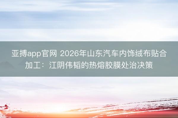 亚搏app官网 2026年山东汽车内饰绒布贴合加工:江阴伟韬的热熔胶膜处治决策