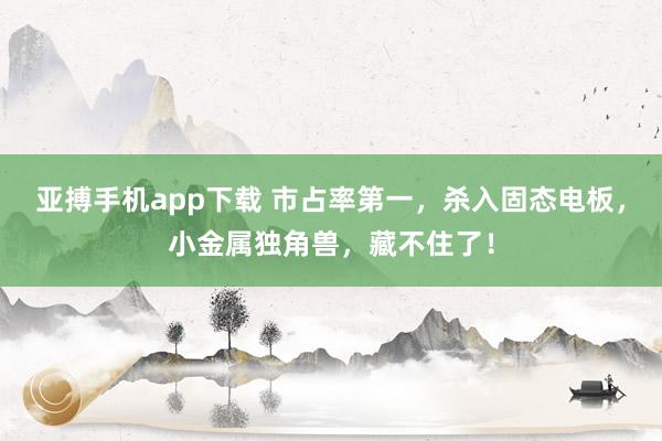 亚搏手机app下载 市占率第一，杀入固态电板，小金属独角兽，藏不住了！