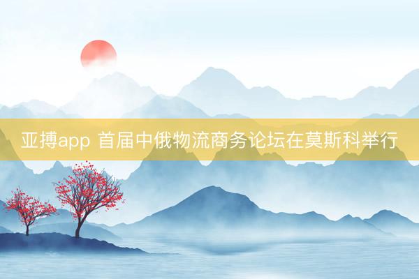 亚搏app 首届中俄物流商务论坛在莫斯科举行