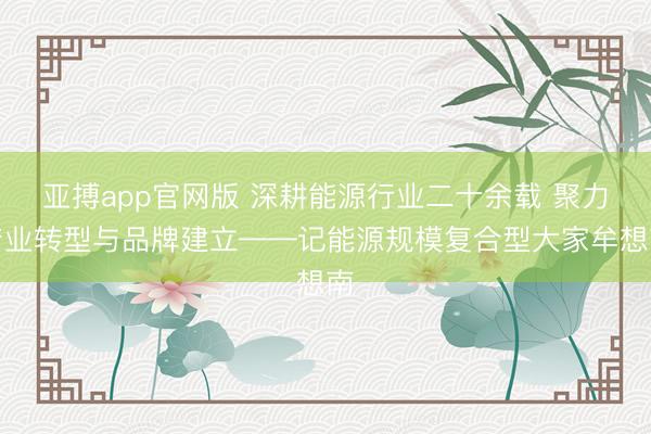 亚搏app官网版 深耕能源行业二十余载 聚力产业转型与品牌建立——记能源规模复合型大家牟想南