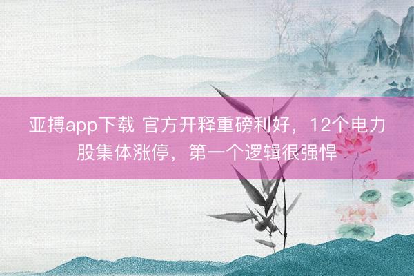 亚搏app下载 官方开释重磅利好，12个电力股集体涨停，第一个逻辑很强悍