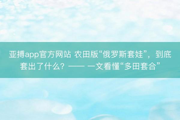 亚搏app官方网站 农田版“俄罗斯套娃”，到底套出了什么？—— 一文看懂“多田套合”