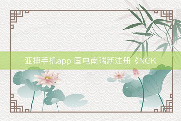亚搏手机app 国电南瑞新注册《NGK
