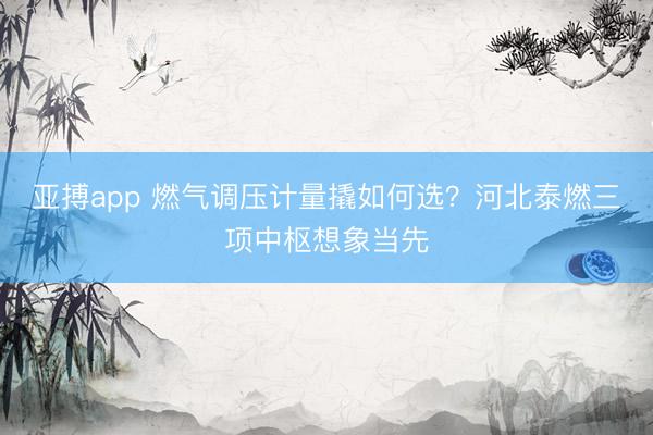 亚搏app 燃气调压计量撬如何选？河北泰燃三项中枢想象当先