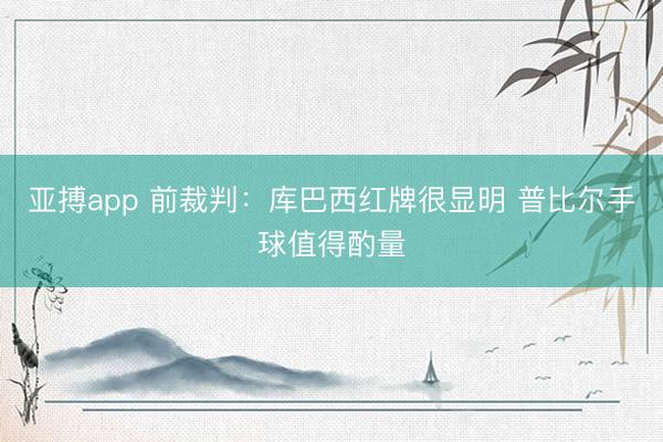 亚搏app 前裁判:库巴西红牌很显明 普比尔手球值得酌量