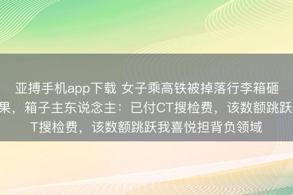 亚搏手机app下载 女子乘高铁被掉落行李箱砸到，索赔600元无果，箱子主东说念主：已付CT搜检费，该数额跳跃我喜悦担背负领域