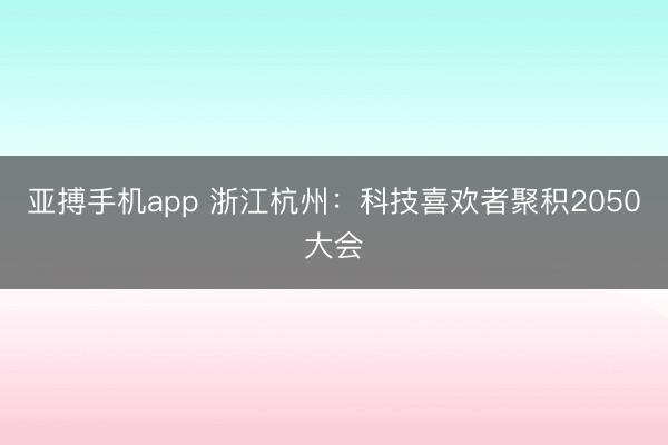 亚搏手机app 浙江杭州：科技喜欢者聚积2050大会