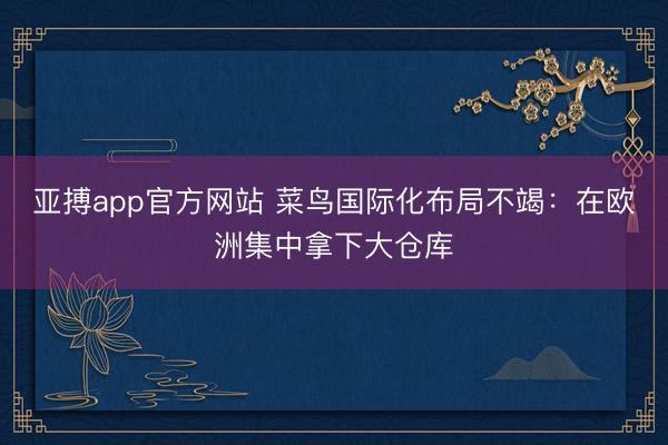 亚搏app官方网站 菜鸟国际化布局不竭：在欧洲集中拿下大仓库