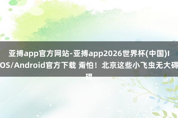 亚搏app官方网站-亚搏app2026世界杯(中国)IOS/Android官方下载 甭怕！北京这些小飞虫无大碍