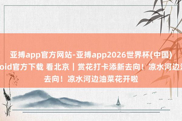 亚搏app官方网站-亚搏app2026世界杯(中国)IOS/Android官方下载 看北京｜赏花打卡添新去向！凉水河边油菜花开啦