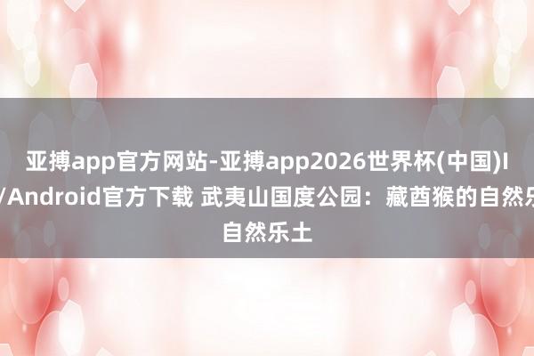 亚搏app官方网站-亚搏app2026世界杯(中国)IOS/Android官方下载 武夷山国度公园：藏酋猴的自然乐土