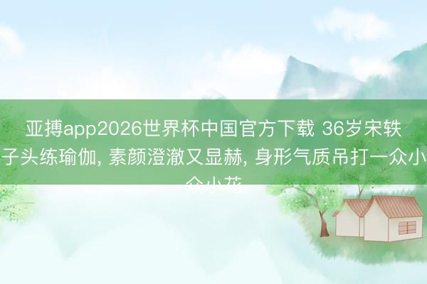 亚搏app2026世界杯中国官方下载 36岁宋轶丸子头练瑜伽， 素颜澄澈又显赫， 身形气质吊打一众小花