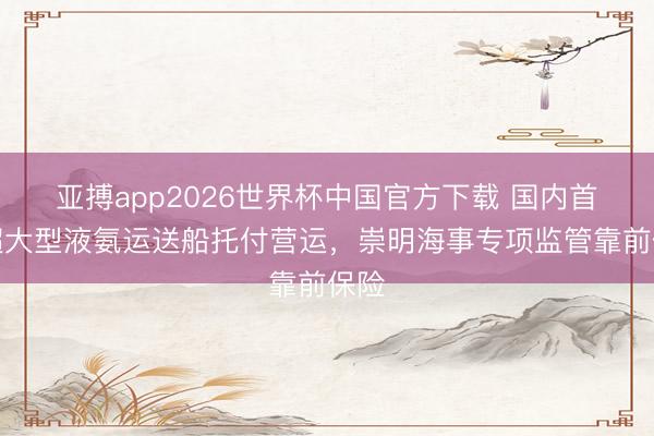 亚搏app2026世界杯中国官方下载 国内首制超大型液氨运送船托付营运，崇明海事专项监管靠前保险
