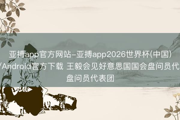 亚搏app官方网站-亚搏app2026世界杯(中国)IOS/Android官方下载 王毅会见好意思国国会盘问员代表团