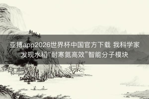 亚搏app2026世界杯中国官方下载 我科学家发现水稻“耐寒氮高效”智能分子模块